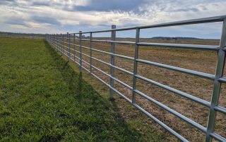 galvanized fence