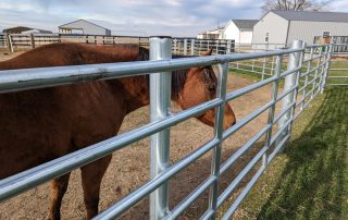 horse safe fencing