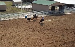 team roping arena